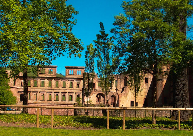 Ruiny zamku w Heidelbergu Heidelberg, zamek, ruiny