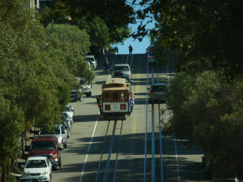 11: Muir Woods - Golden Gate - Driving me ... USA (14)