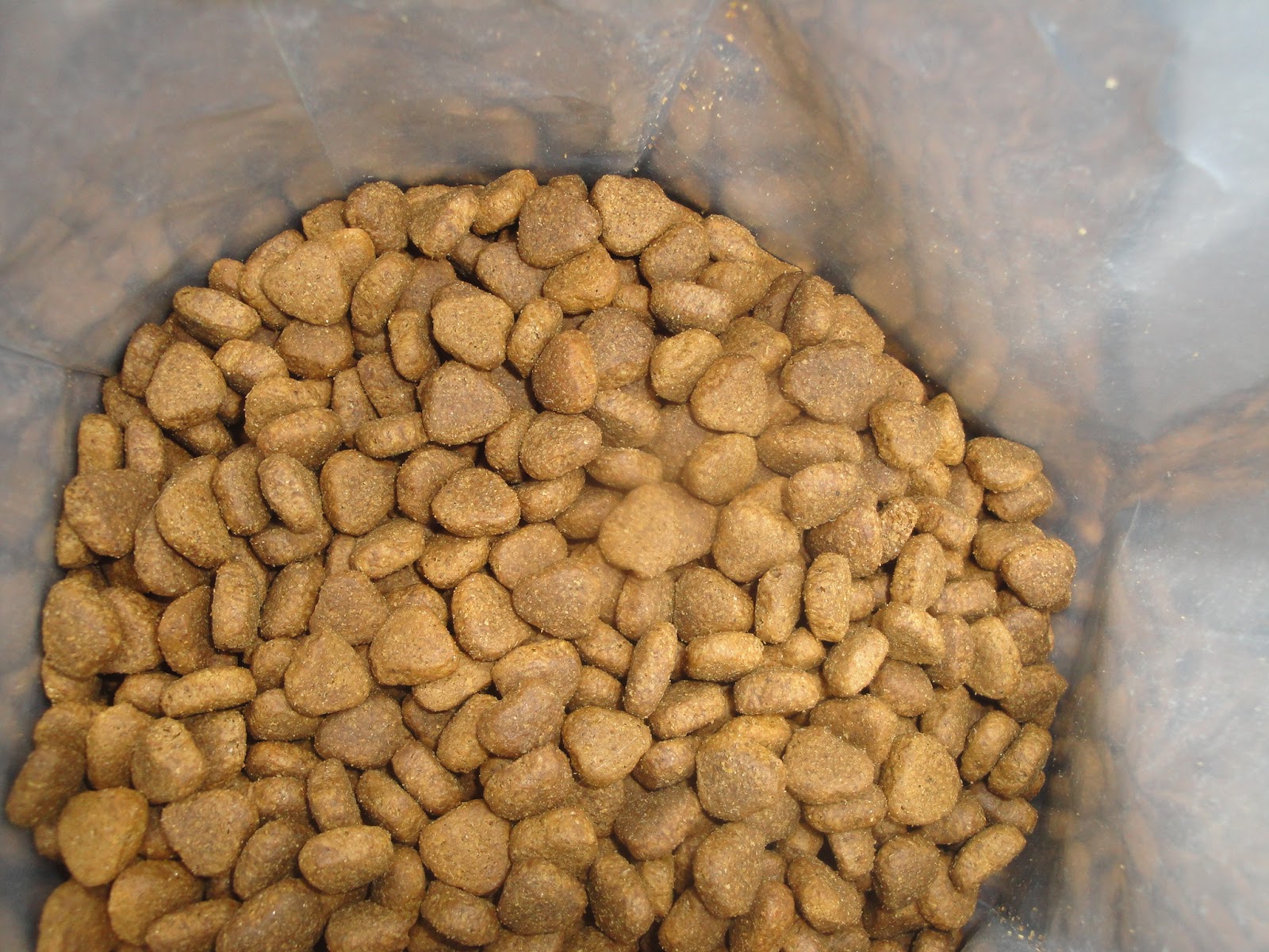 The Adventures of The Tank Product Review Canagan Dog Food (Part 1)