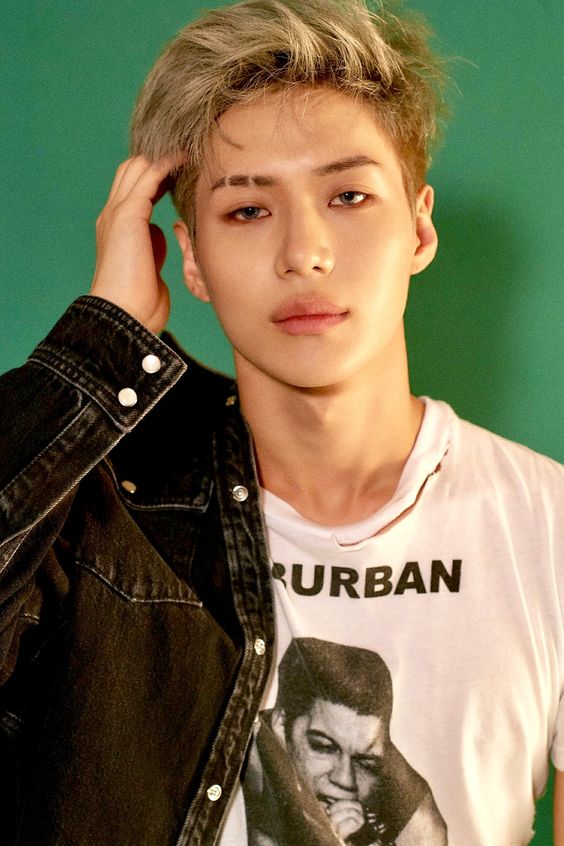 الملف الشخصي النوع المثالي و حقائق عن Lee Taemin