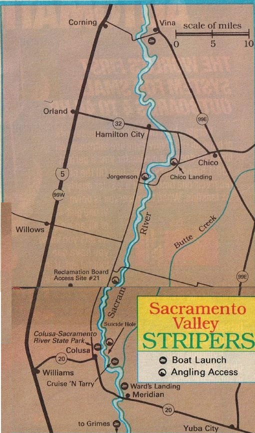2018 Sacramento River Stripers with Fishing Maps with Fish report and information where to Fish