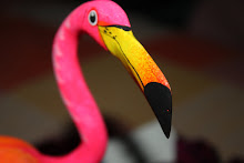 Flamingo II de Santo Domingo