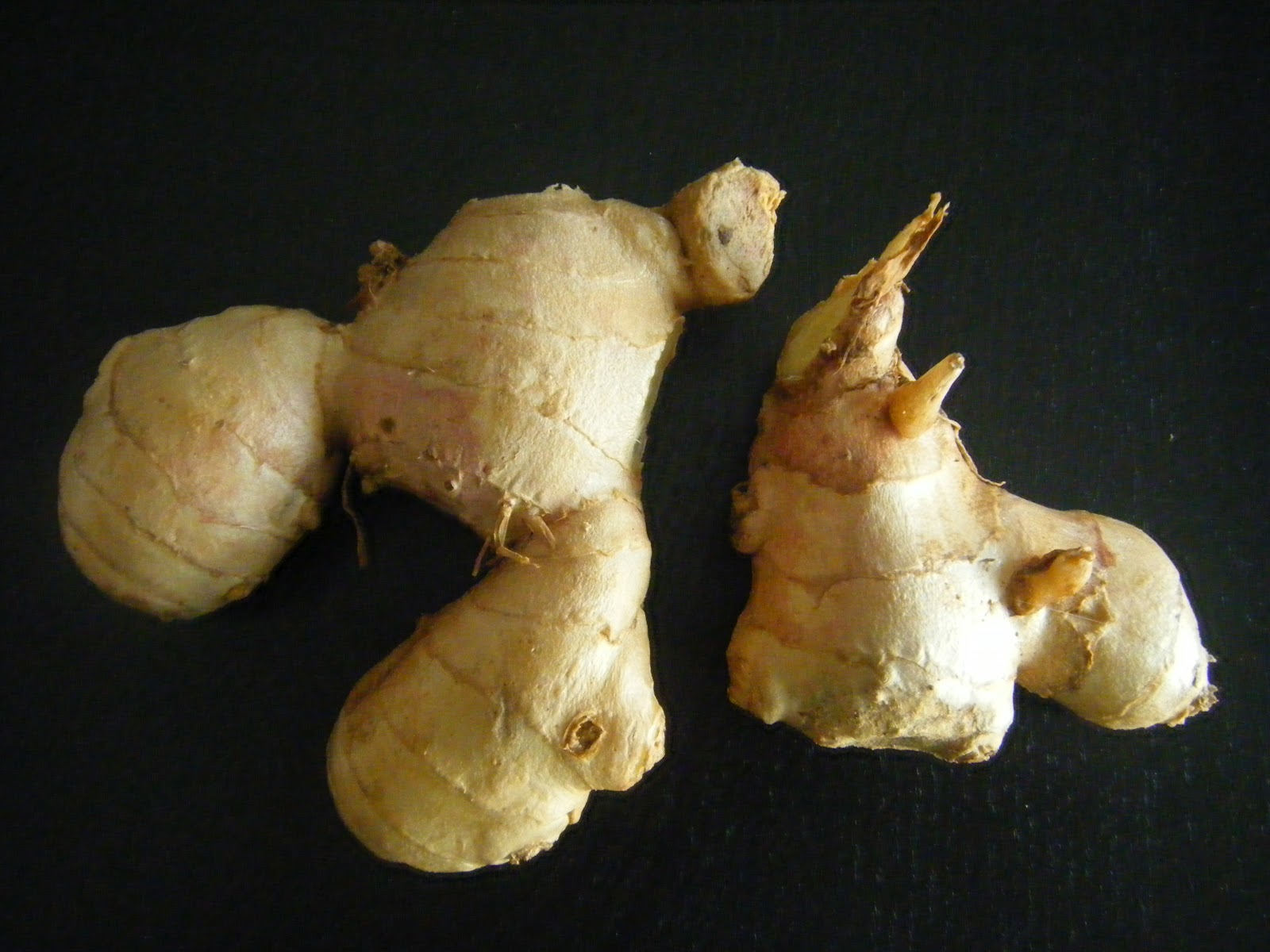 Why Is Root Beer Called Root Beer >> Kapora's Journey: Candied (Crystallized) Ginger Why Is Root Beer Called Root Beer >> Kapora's Journey: Candied (Crystallized) Ginger
