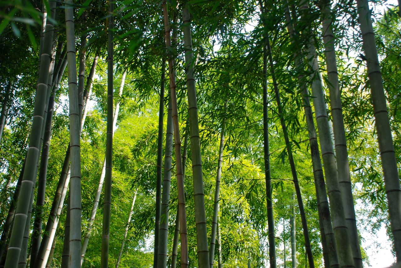 Liiviundliivi 12von12 Im Mai Komm Mit Mir Nach Jerusalem