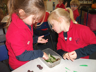 The Snail and The Whale!, Copthill School