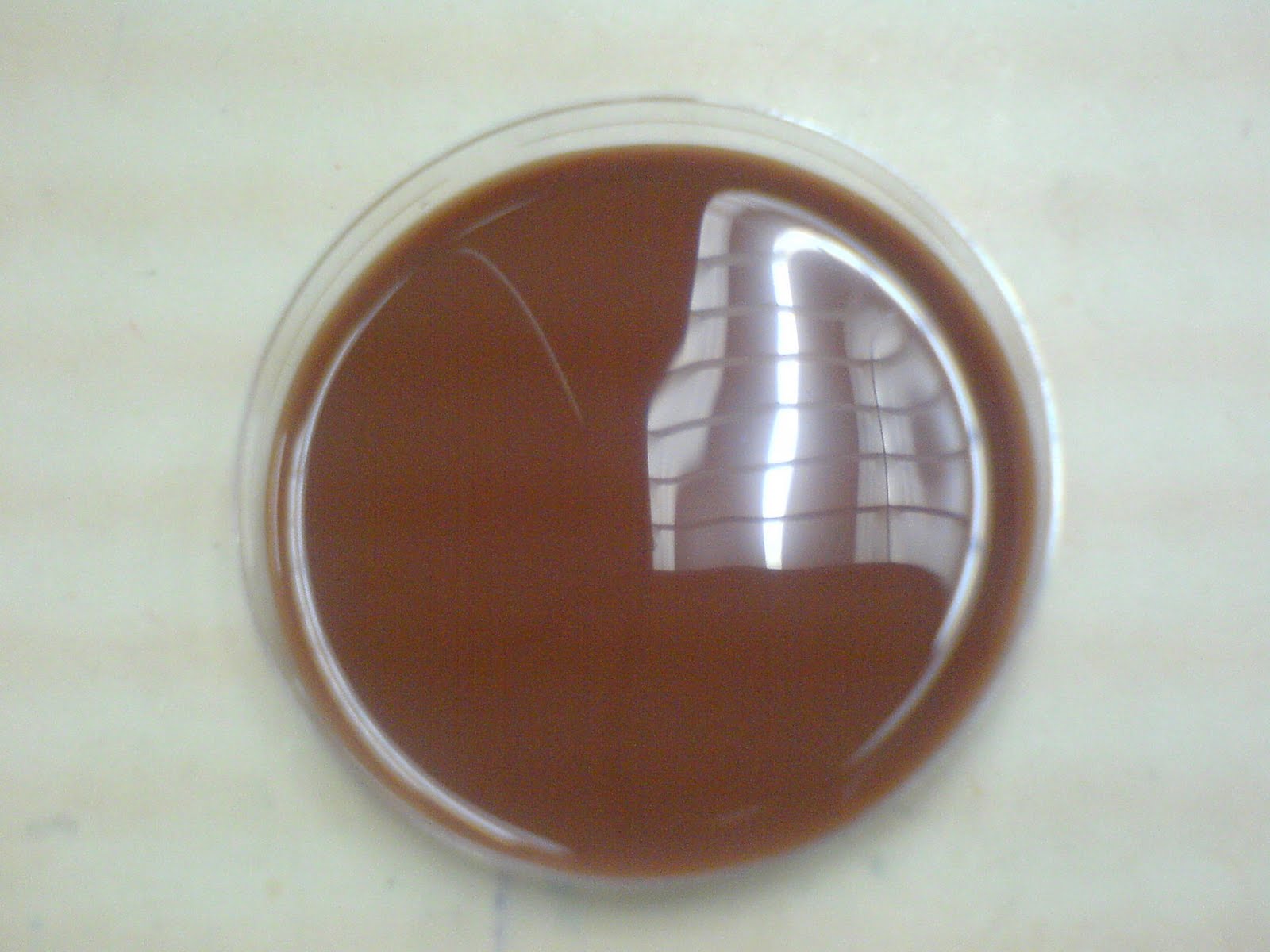 senyumSEINDAH kachangSOYA Resepi rahsia CHOCOLATE agar