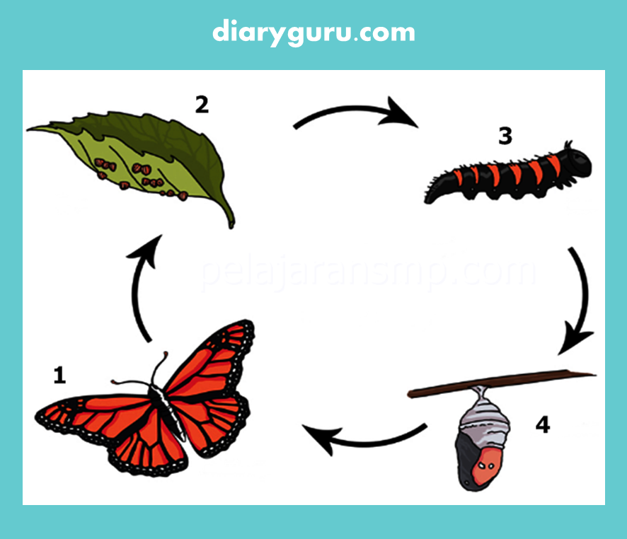 Soal Ulangan Harian Kelas 4 Tema 3 Subtema 2 - Diary Guru
