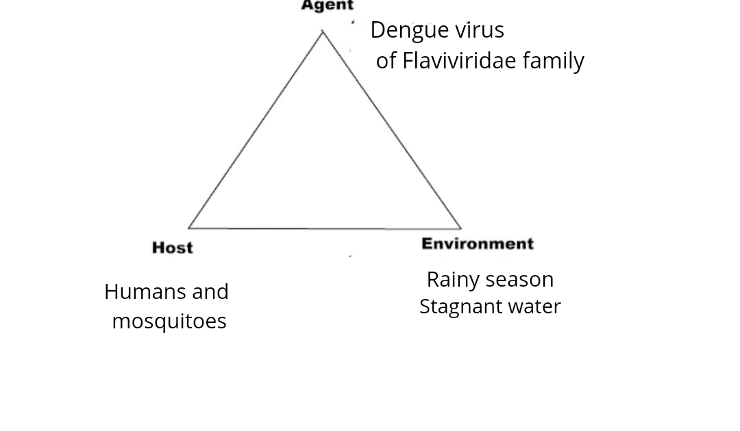 Dengue - Symptoms, Causes, Pathophysiology, Treatment, Prevention