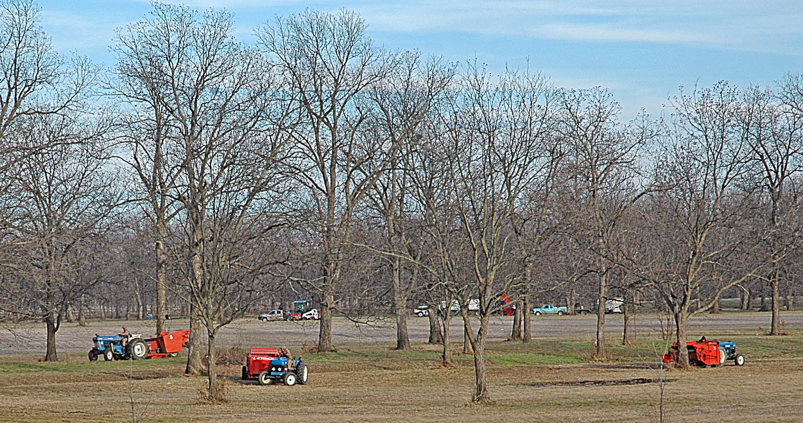 Northern Pecans Finally! Pecan harvest resumes