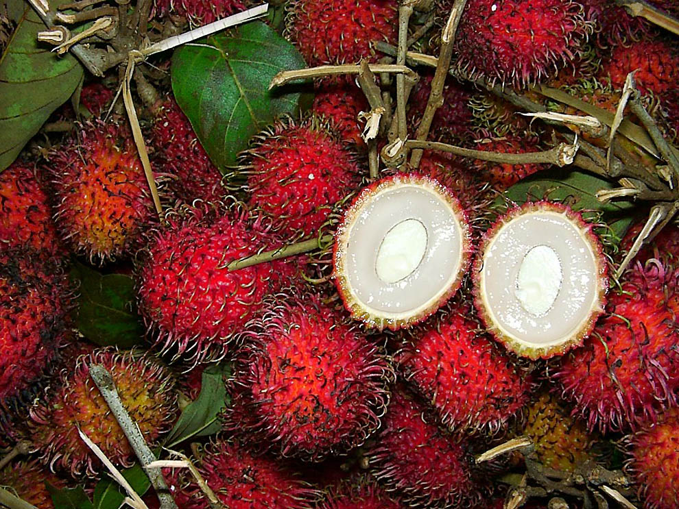 11 fotografías de frutas exóticas (vista exterior e interior) Gallery ...