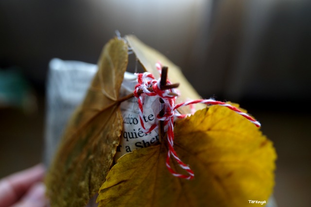 empaquetado-creativo-packaging-hojas