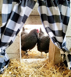 chicken winter reasons heat five coop further bit since