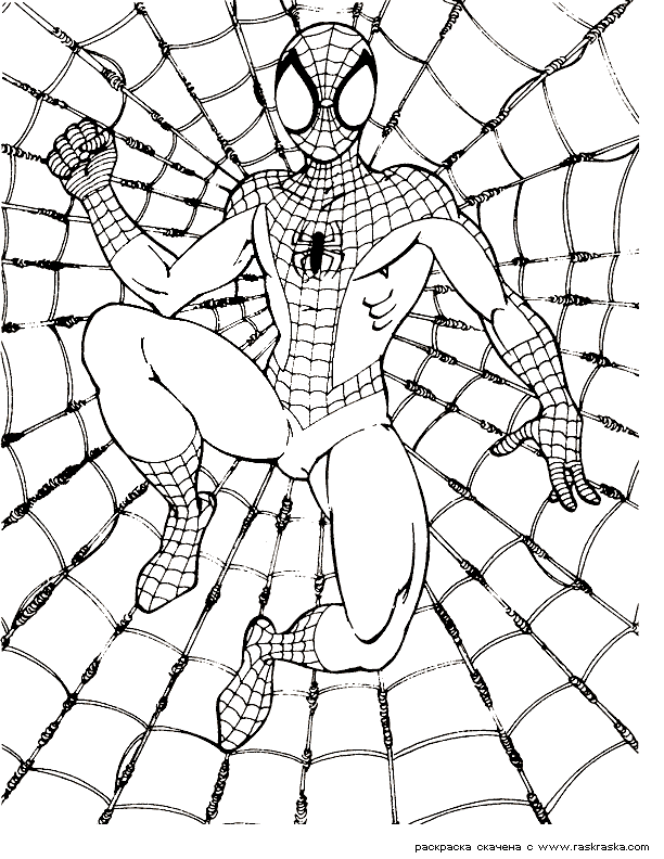 The Amazing Spider Man Coloring Pages Spiderman Color