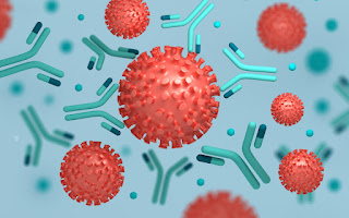 تفاعل جسيمات فيروس كورونا مع الأجسام المضادة