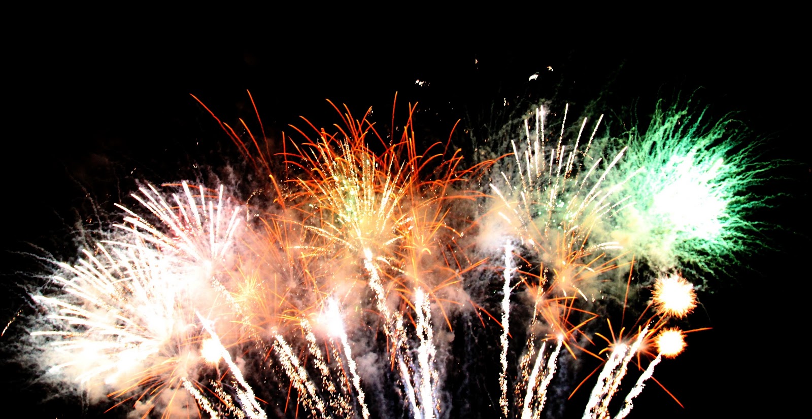 Santee Review Reserve Canopy Space at Santee Salutes on July 4