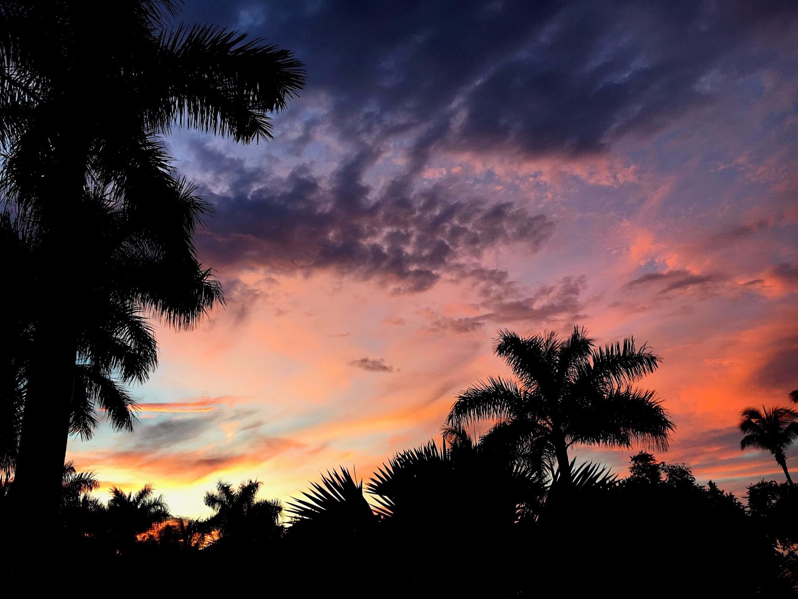 Playa Matapalo, Costa Rica travelsandmore