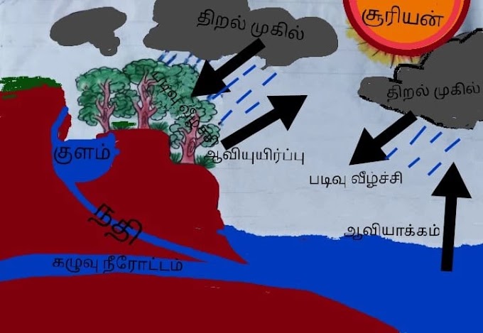  நீரியல் வட்டம் / Water cycle in Tamil