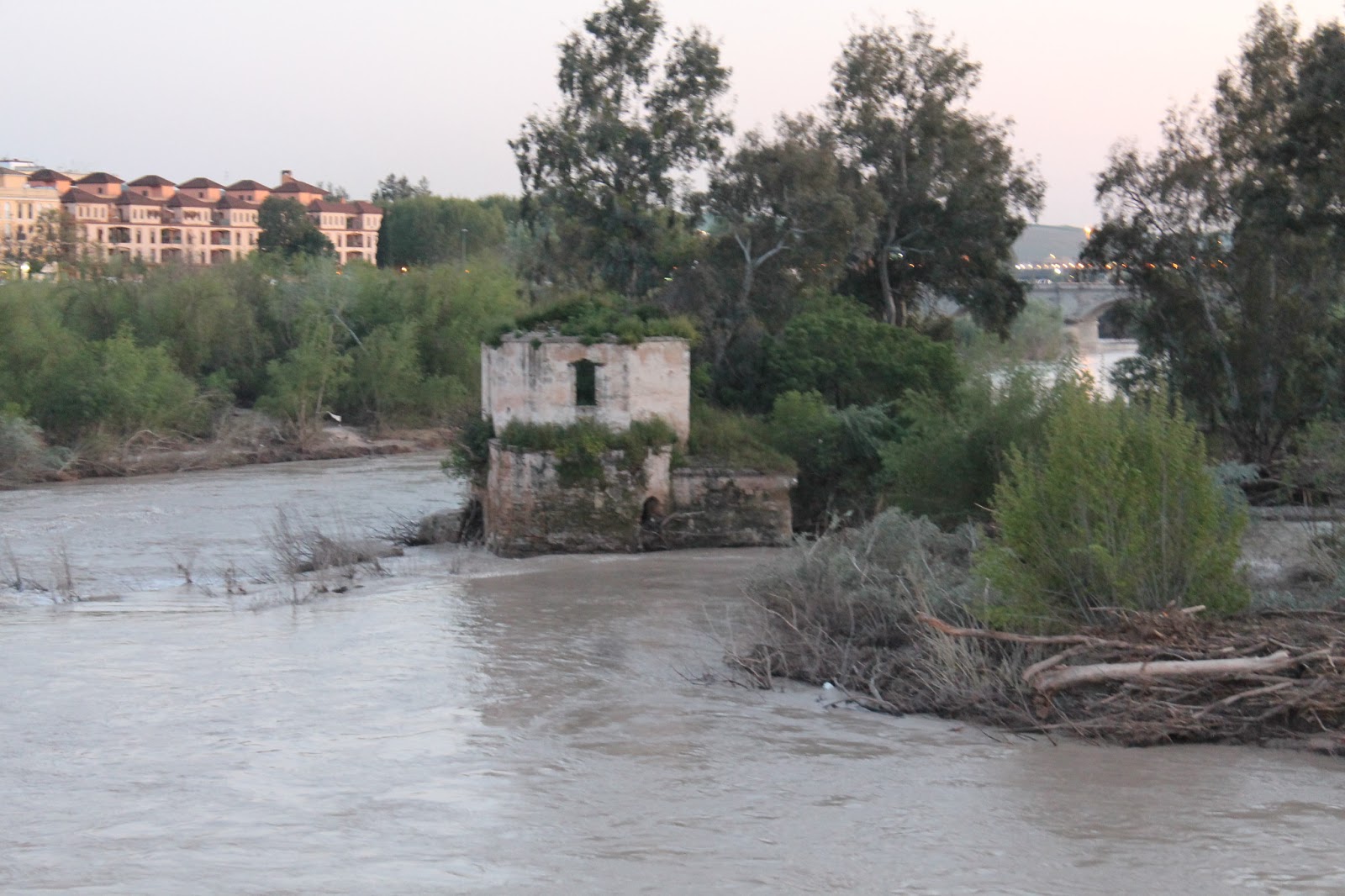 Sentir Córdoba Paseos Por Córdoba en Primavera