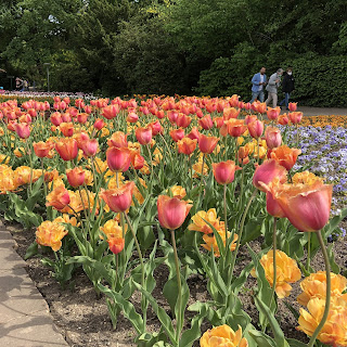 Höhenpark Killesberg/ へーエンパーク・キレスベルク〜シュトゥットガルトのお花がいっぱいの公園〜