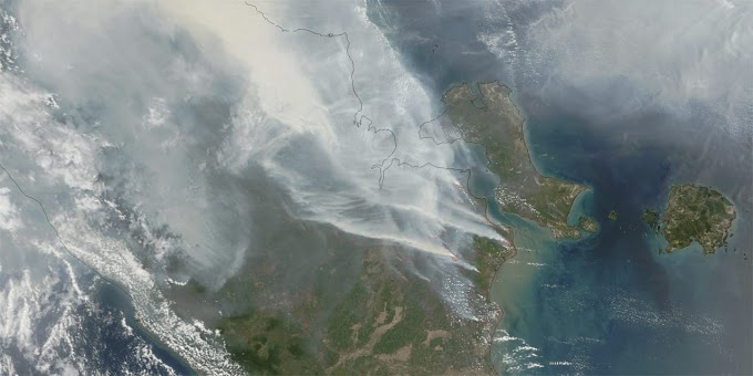 Perbedaan Kabut Asap, Kabut, dan Asap yang Muncul Saat Kebakaran Hutan dan Lahan (Karhutla) 