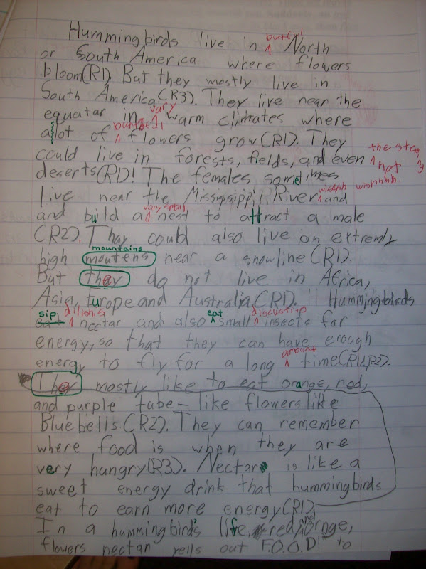 Sdqessayzue.x.fc2.com - Outline For An Essay Paper