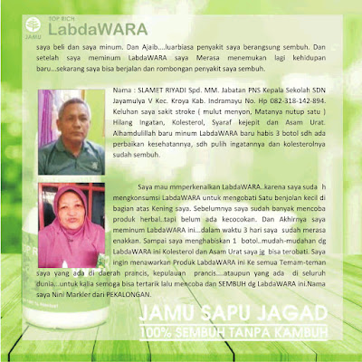 herbal stroke labdawara