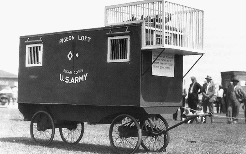 A pigeon Loft at Rampont, France.