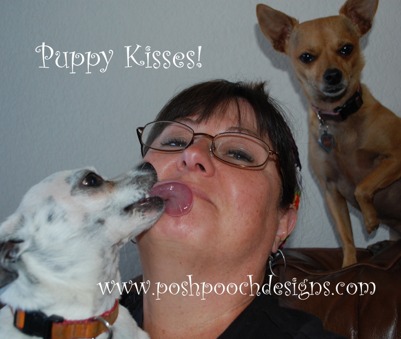 Posh Pooch Designs Live Video Chat Help! My dog Won't wear His