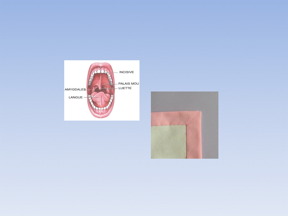 Bouche Cousue Quand Il Faut Se Taire Madeoifran B1/B2: Devinette nº9 Expression imagée :sentiments, émotions
