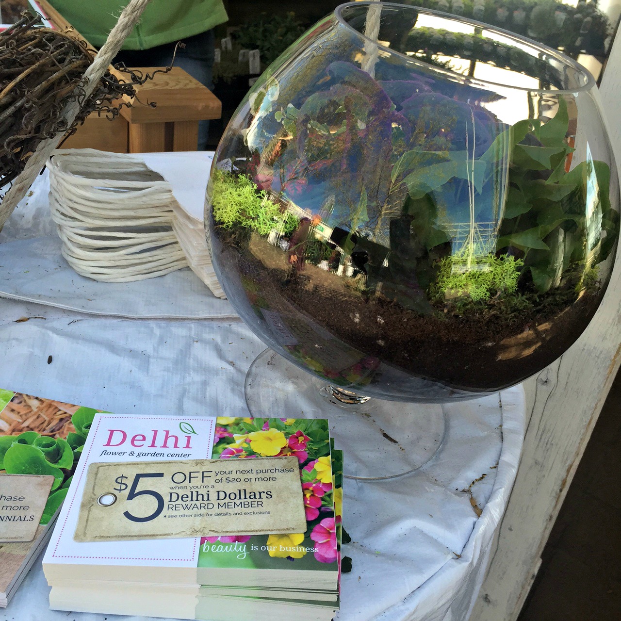 Diy Fun Diy Terrarium At Delhi Flower Garden Center The Food