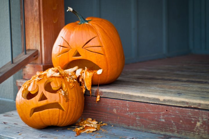 The Waiting is the Hardest Part: Best Halloween Pumpkins?
