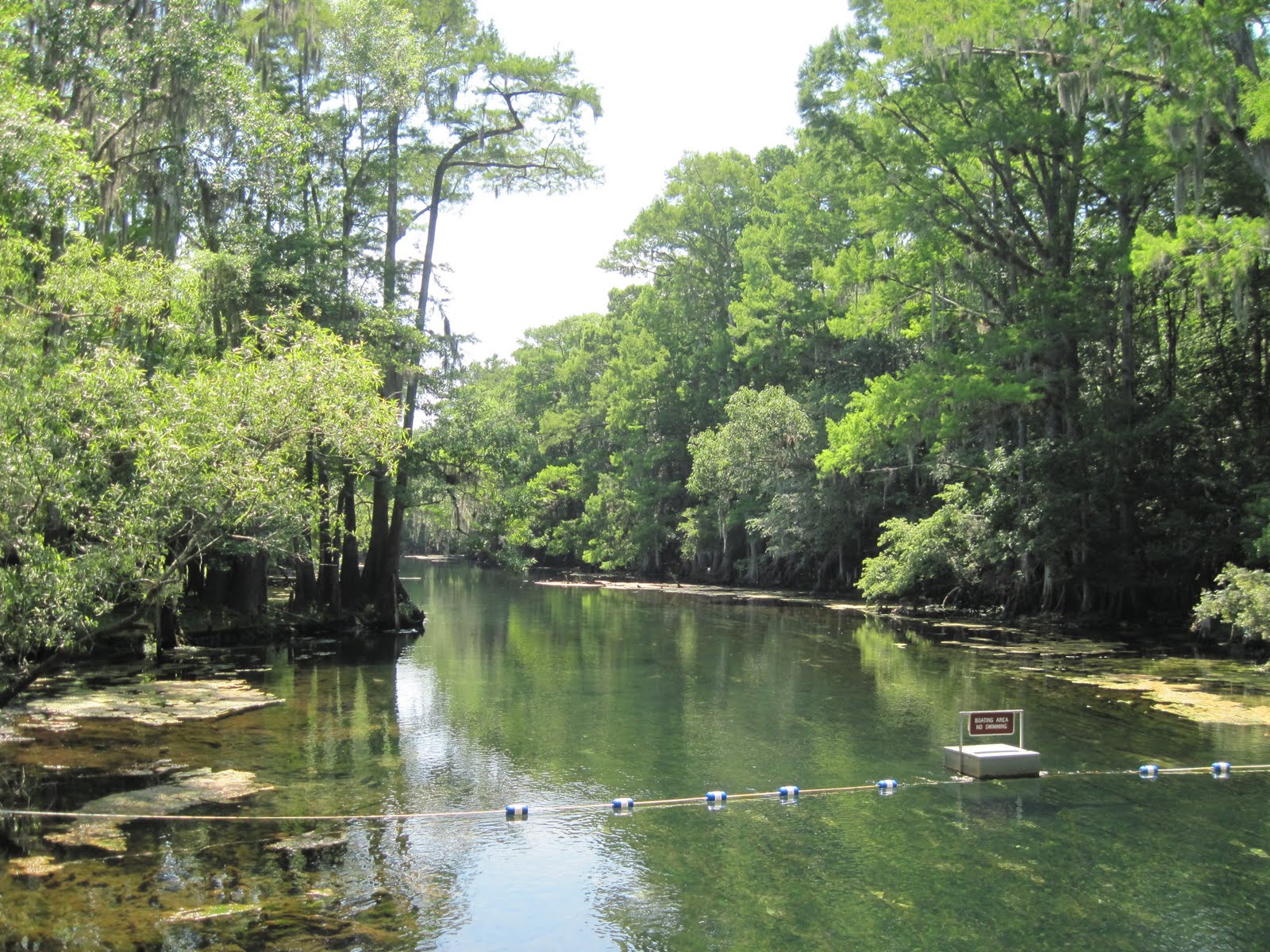 Spring Trip 2011: Manatee Springs State Park, Chiefland, Florida