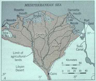 Arcuate Rivers IS2104 blog: River Delta