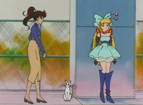 Ver Sailor Moon Sailor Moon Super S - Capítulo 154