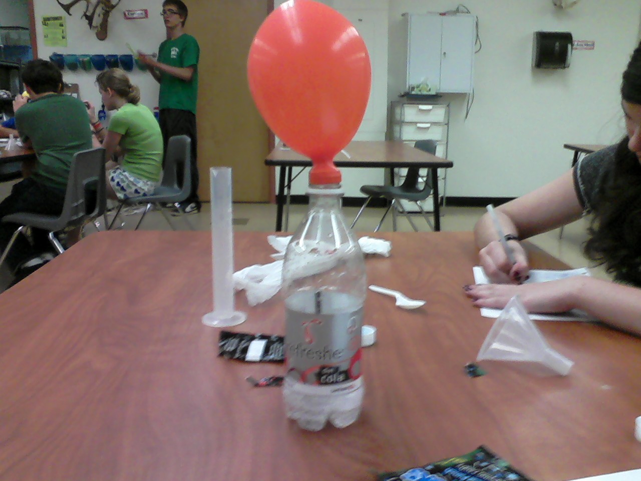 Chemistry Reflection Conservation of Mass Lab Investigation