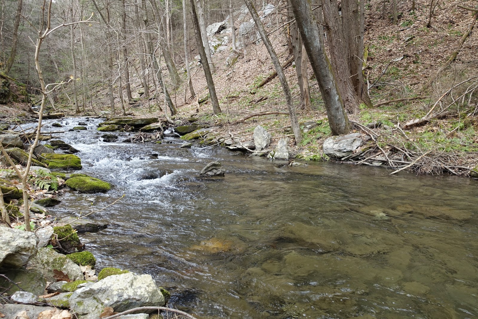 Of Rock & Riffle: More Uodome and a mind-bogglingly amazing wild trout ...