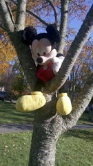Mickey at the park