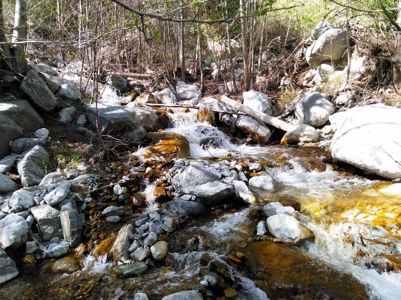 California Local Trout Fishing Water Repor Hunting the River King