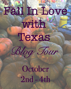 My Thrift Store Addiction Fall in Love with Texas Blog Tour