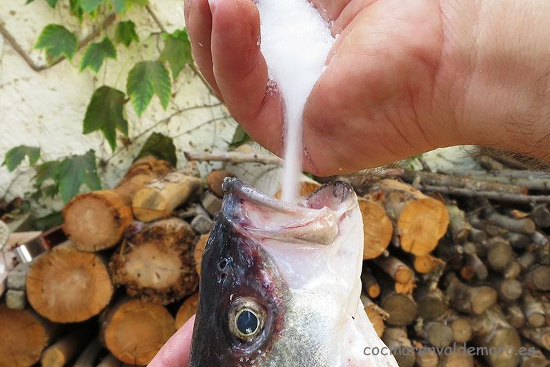 Salando la lubina por la boca