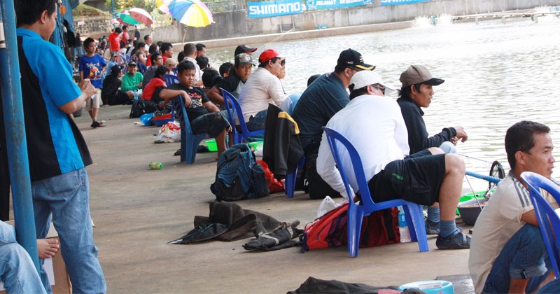 Terbukti Umpan Ikan Mas Campuran Master Essen Tenggiri Paling Ampuh