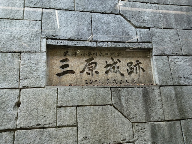 raw-image