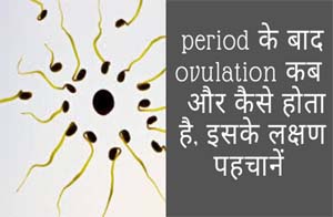 पीरियड के बाद ovulation कब और कैसे होता है