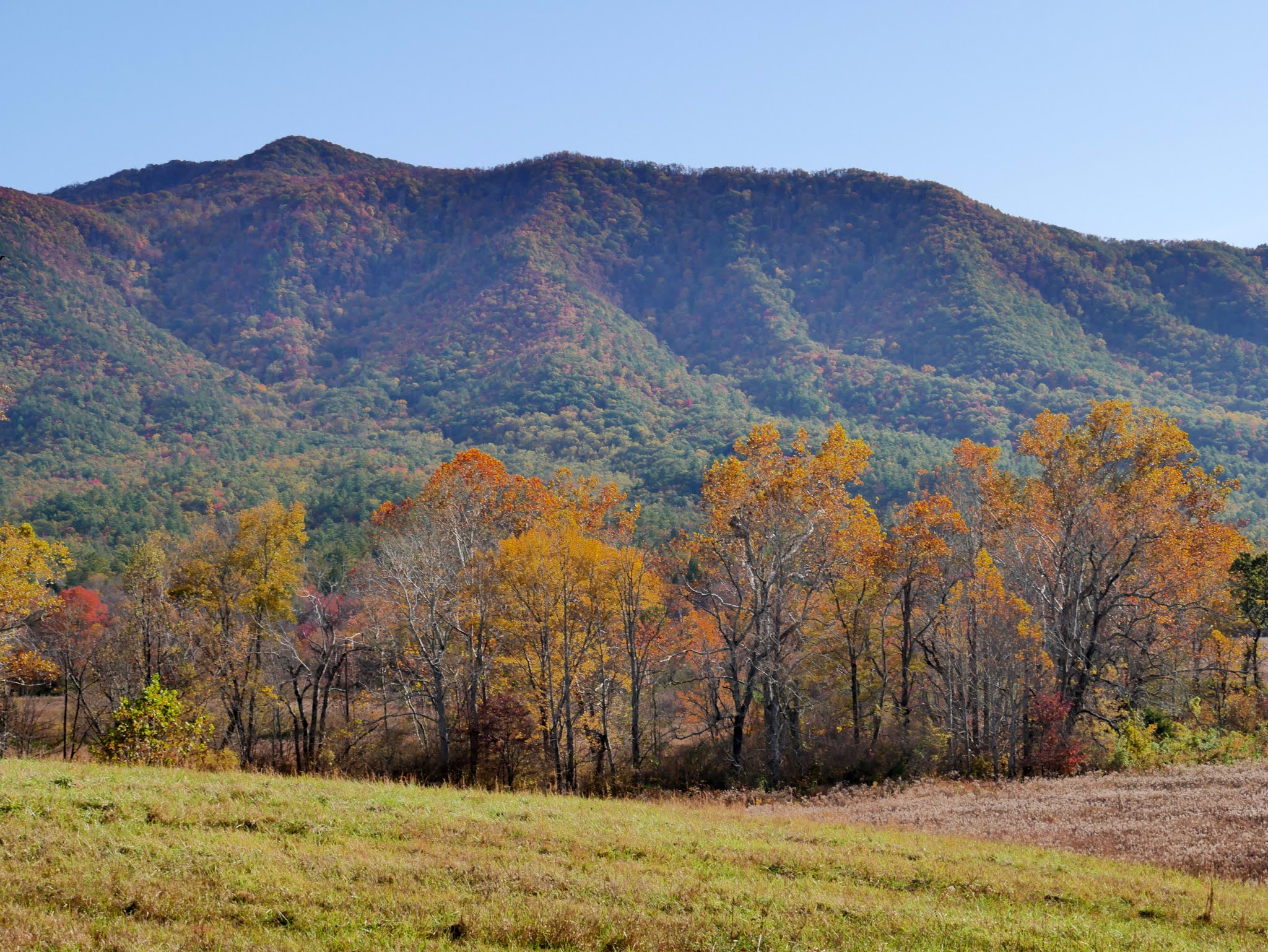 American Travel Journal Cades Cove Great Smoky Mountains National Park