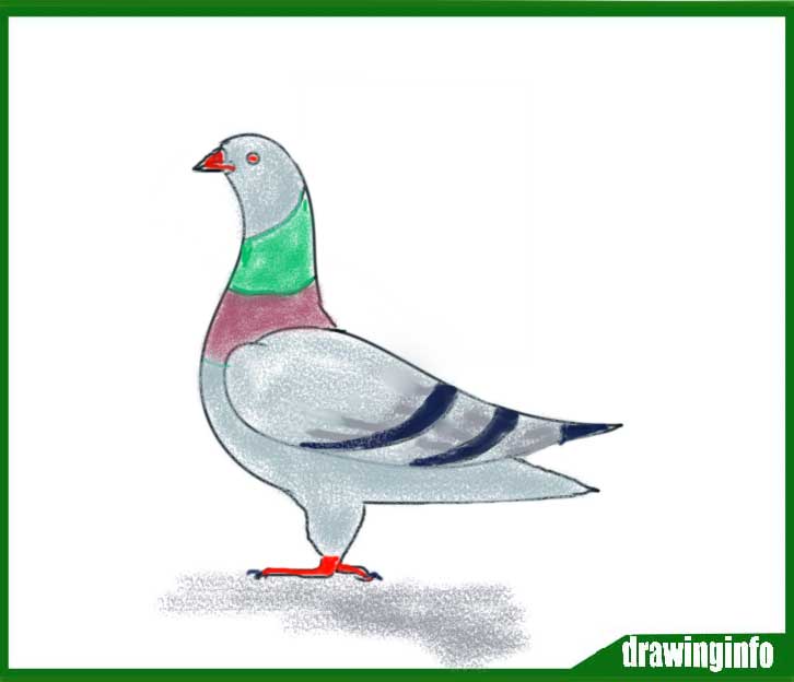 Featured image of post Bird Drawing With Colour Easy Step By Step Sit with him and make him do this easy craft