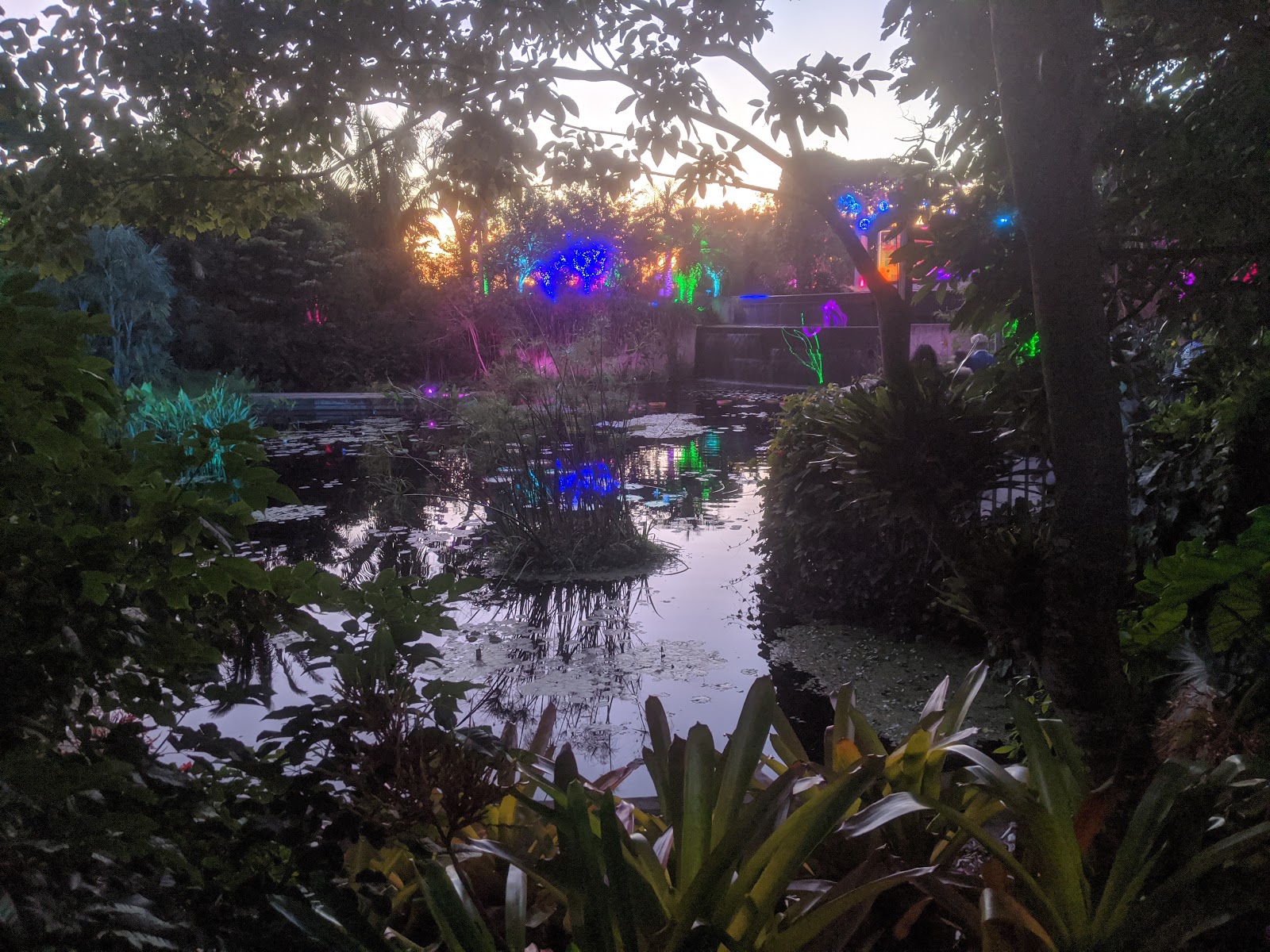 Bird & Travel Photos, Birding Sites, Bird Information NIGHT LIGHTS