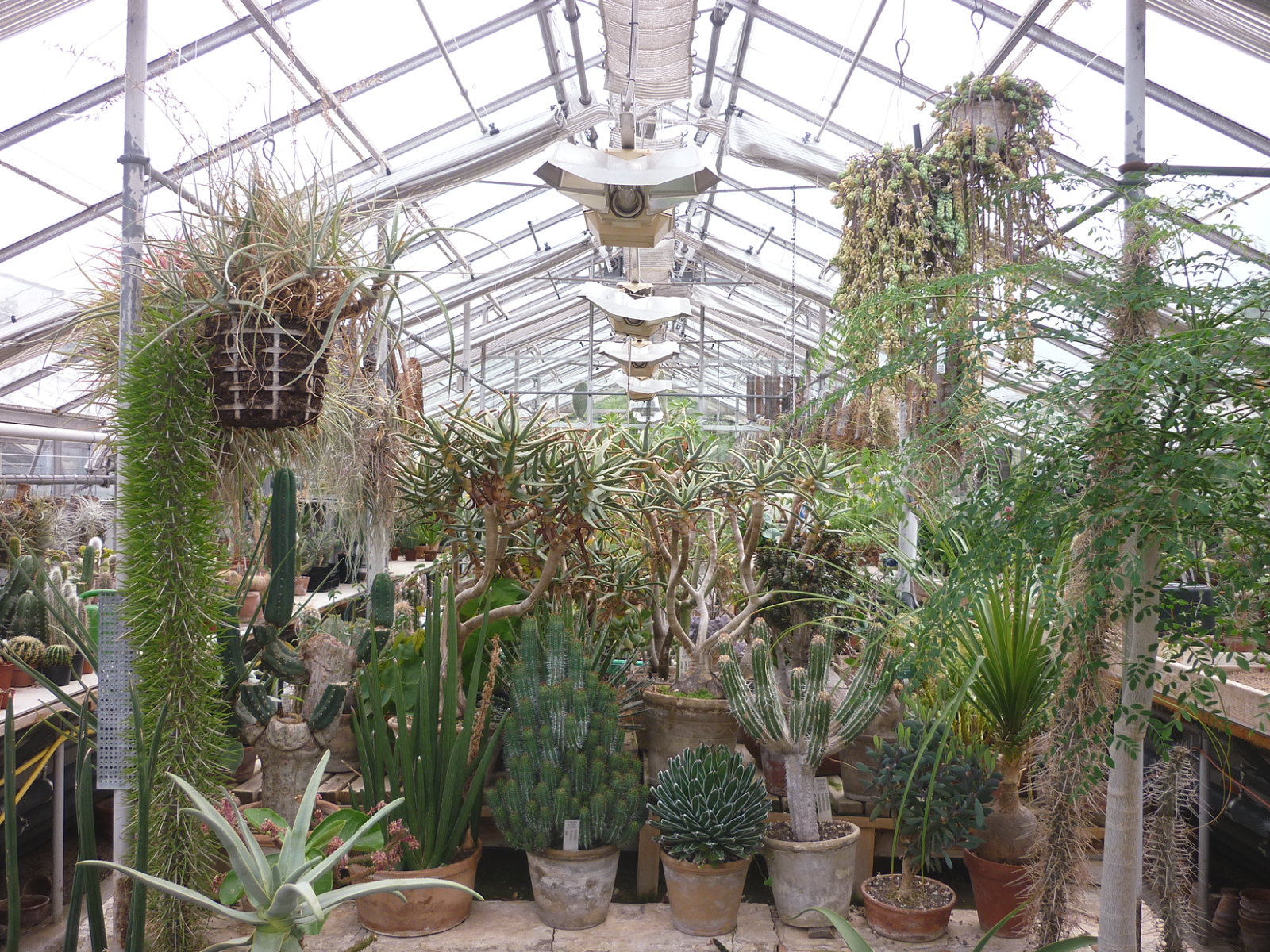 botanic garden in copenhagen botanic garden in copenhagen