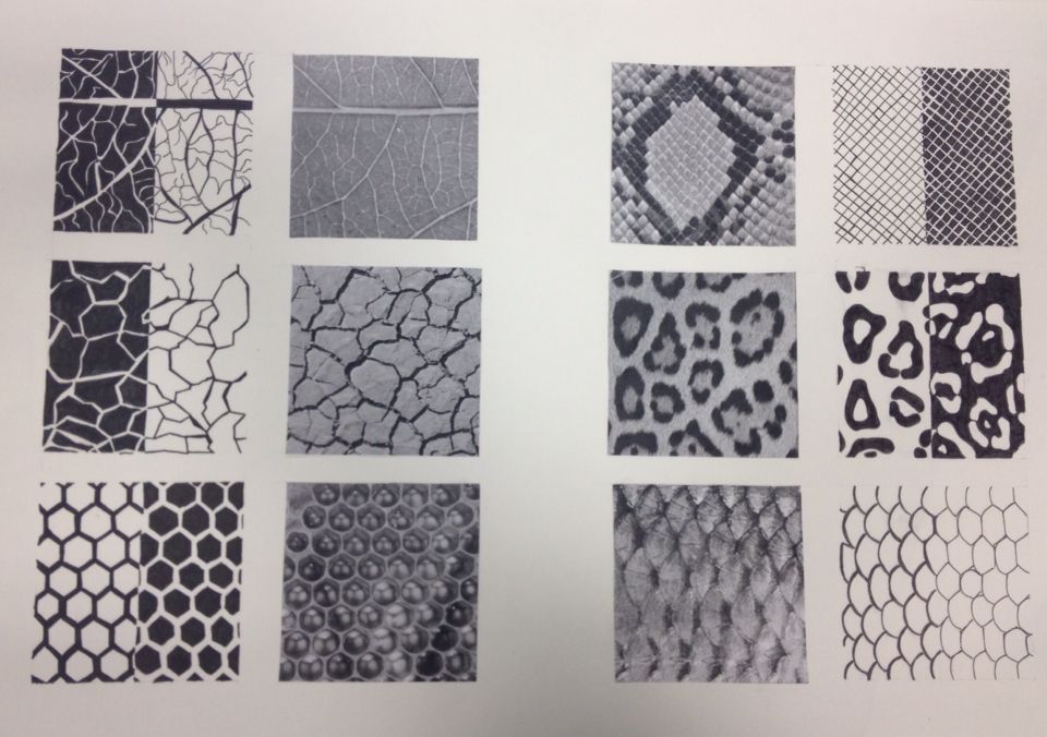 Bienvenidos a nuestro blog de la asignatura Educación Visual Plástica y  Dibujo: Texturas