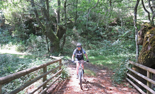 Ruta por el Bosque de Carballido en Fonsagrada, Lugo, Galicia