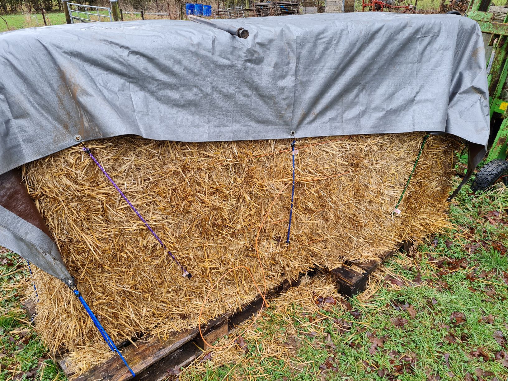 An English Homestead Straw For The Chickens
